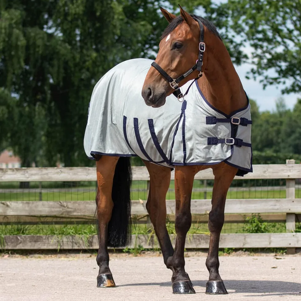 QHP – Manta antimoscas para caballo con sombrero y cuello, 3 cinturones en el viente y cierre frontal