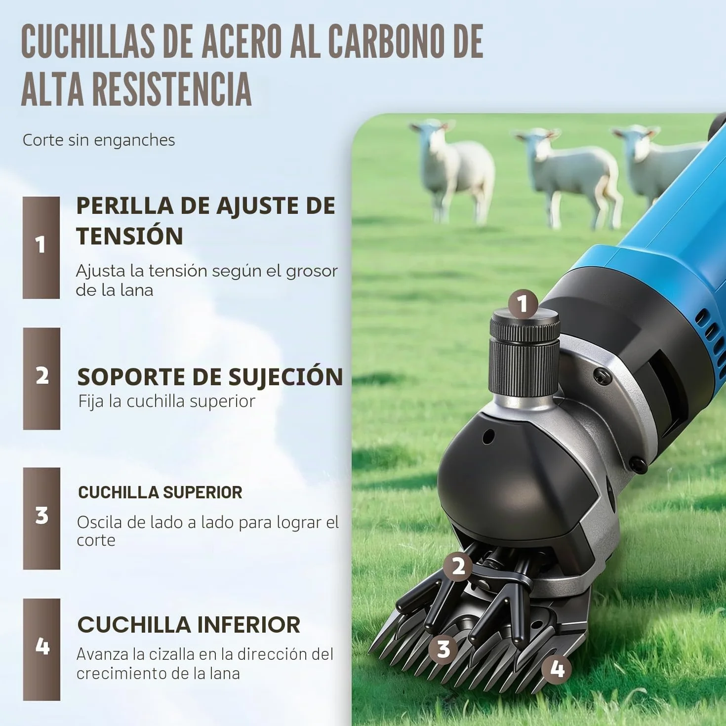 Esquiladora para Oveja Profesional 690W 2400RPM CGOLDENWALL, Máquina Esquilar Ovejas Cabra Alpaca con 6 Ajuste de Velocidad, Cable Largo 5m - Aceite lubricante Incluido (Cuchilla Recta de 13 Dientes)
