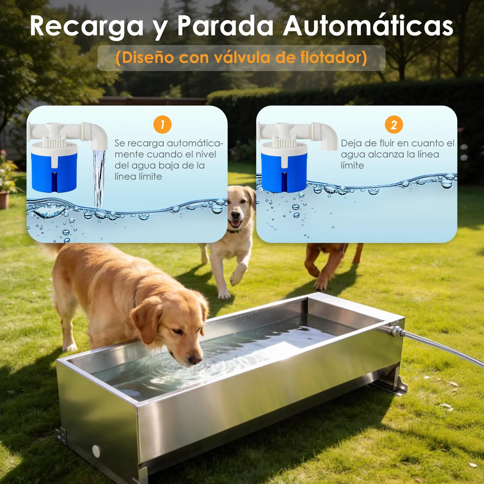 50 litros Bebedero con Válvula Flotante 1/2 Pulgada, Bebedero Automático con Kit de Conexión, Bebedero Flotante con Soportes, Bebedero para Caballos, Cabras, Ganado, Ovejas, Perros