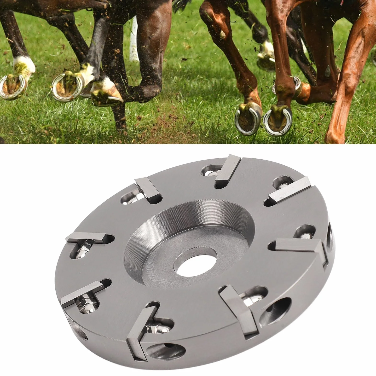 Disco de Corte de Pezuñas de Acero, 8 Dientes, Placa de Corte de Pezuñas de Ganado para Ganado, Caballos, Ovejas, Tratamiento de Alta Temperatura, Herramienta Práctica, Material