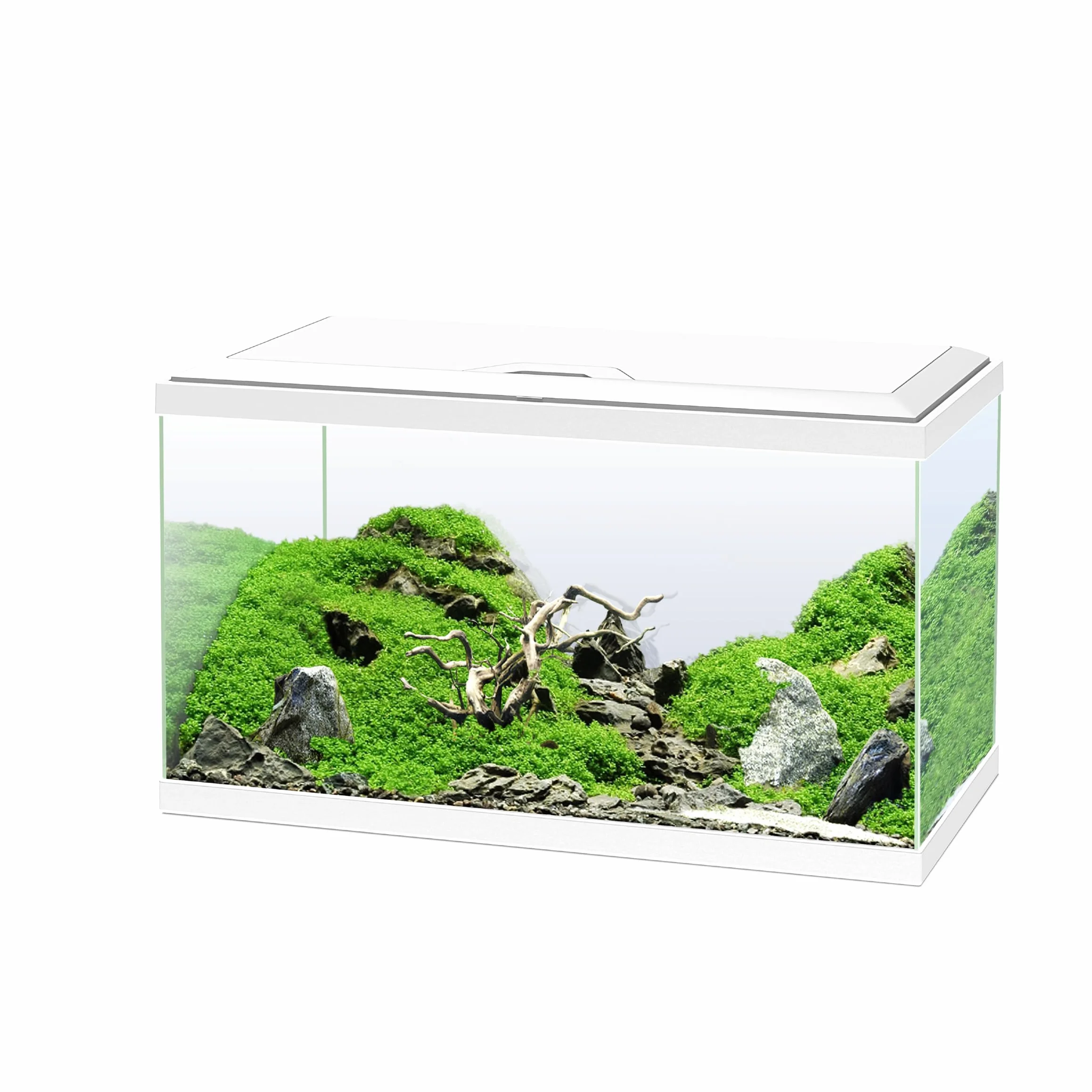 Ciano, Acuario 60 Blanco, para Peces, Equipado con Filtro, consumibles, LED y calefacción, 58L, Embalaje Reforzado para envío Web