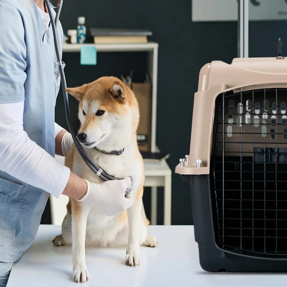 Petmate - Vari Kennel - Transportín para Mascotas - Transportín Robusto - Transportín ventilado - Fácil de Montar - Tamaño Mediano - Dimensiones Interiores 61 x 45,5 x 7,5 cm