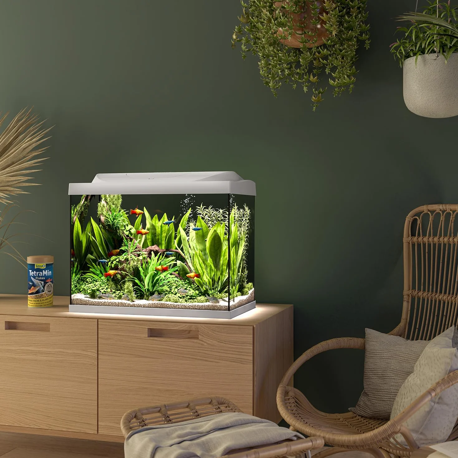 Tetra Starter Line LED 80L Acuario de Inicio Blanco, Bombilla LED con Modo luz Diurna/Nocturna