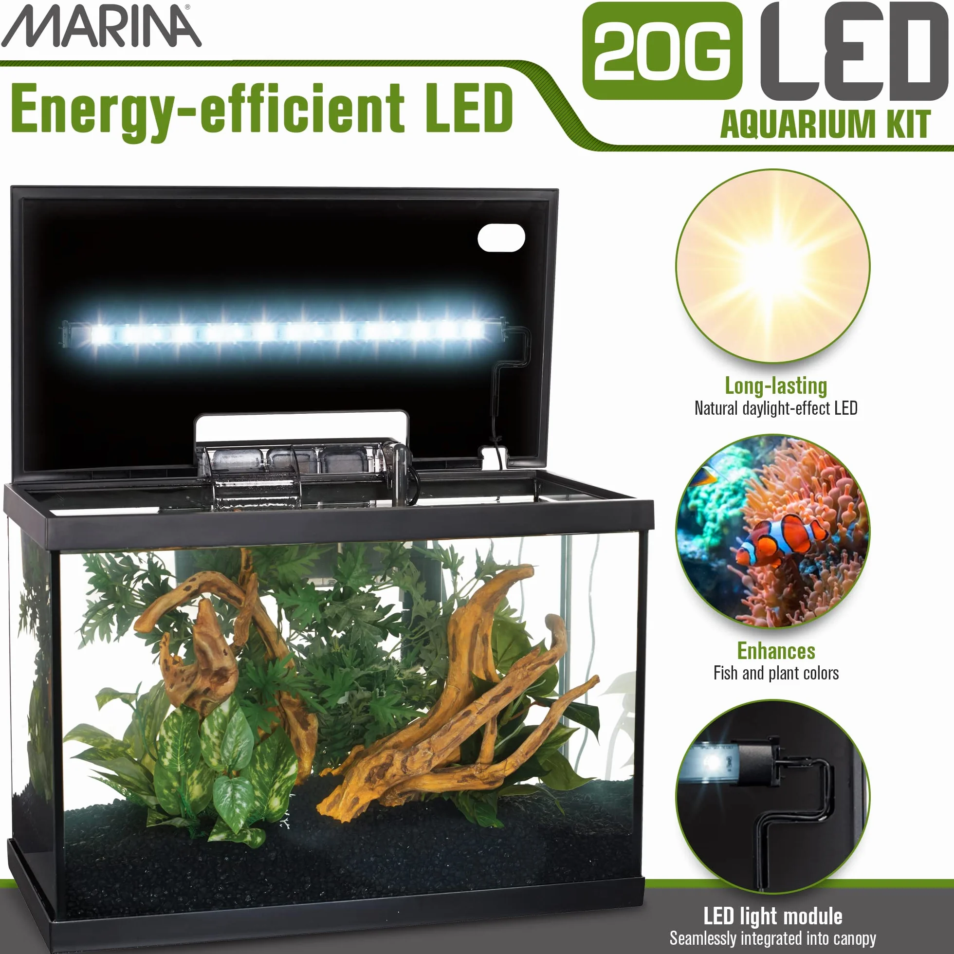 Marina - Kit de Acuario con Iluminación LED, Vidrio, Transparente, 20G, 75 L, 61.4 x 32.2 x 41.9 cm