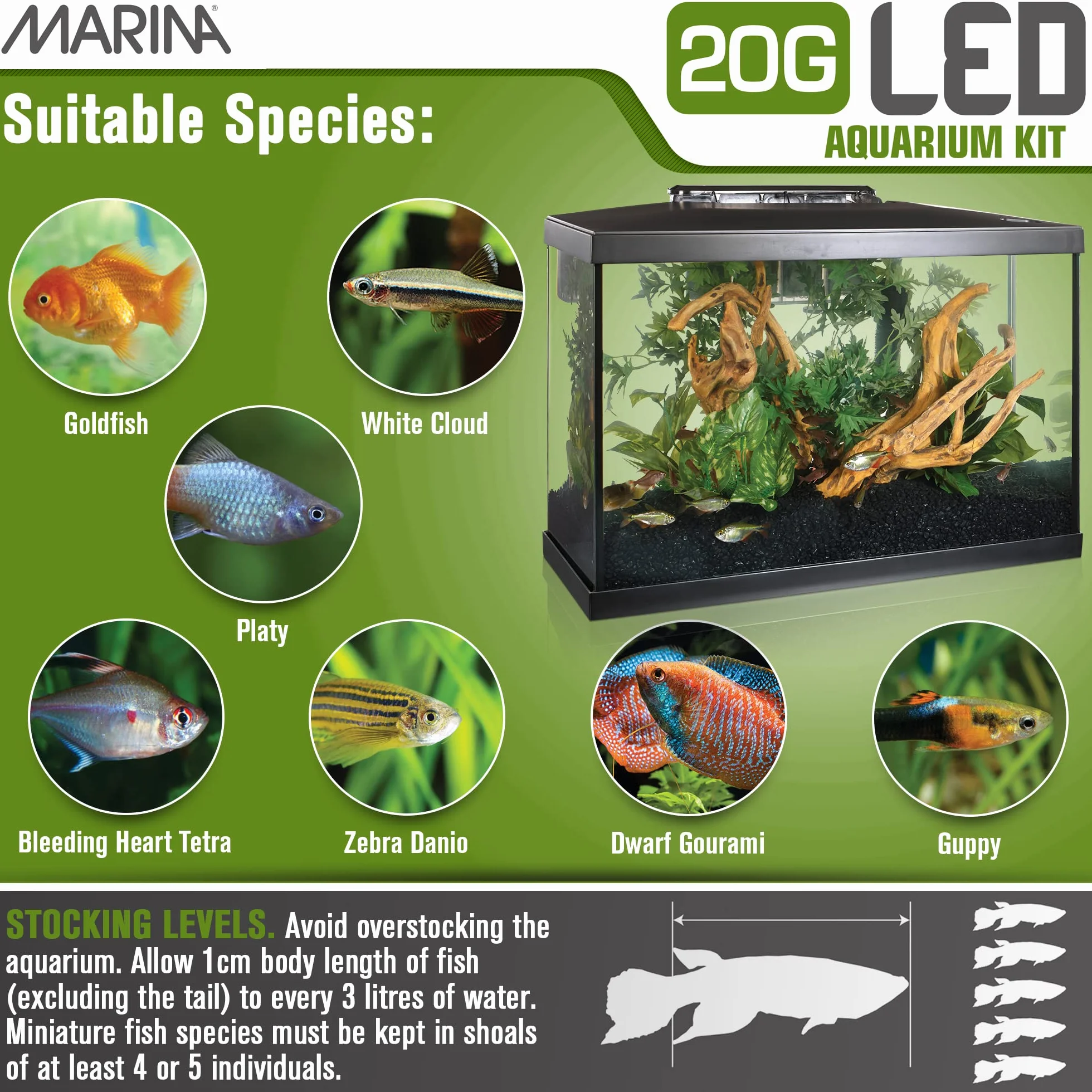 Marina - Kit de Acuario con Iluminación LED, Vidrio, Transparente, 20G, 75 L, 61.4 x 32.2 x 41.9 cm