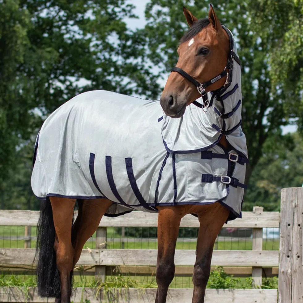 QHP – Manta antimoscas para caballo con sombrero y cuello, 3 cinturones en el viente y cierre frontal